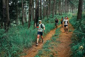 BIB: 
                            <button type="button" onclick="openModal(25656799)" class="btn btn-primary btn-sm float-right btn-popup" data-toggle="modal" data-target=".modal-high-quality">
                        <i class="fas fa-shopping-cart"></i> Add to Cart
                    </button>
                                            <button type="button" onclick="isThisMe(25656799, true)" class="btn btn-success btn-sm float-right btn-popup btn-isme hidden" data-toggle="tooltip" data-placement="bottom" title="นี่คือรูปของคุณใช่ไหม คลิกที่นี่เพื่อเอาเข้าอัลบั้ม">
                        <i class="fas fa-plus"></i> Add to album
                    </button>
                    <button type="button" onclick="isThisMe(25656799, false)" class="btn btn-warning btn-sm float-right btn-popup btn-isnotme hidden">
                        <i class="fas fa-ban"></i> Remove from album
                    </button>